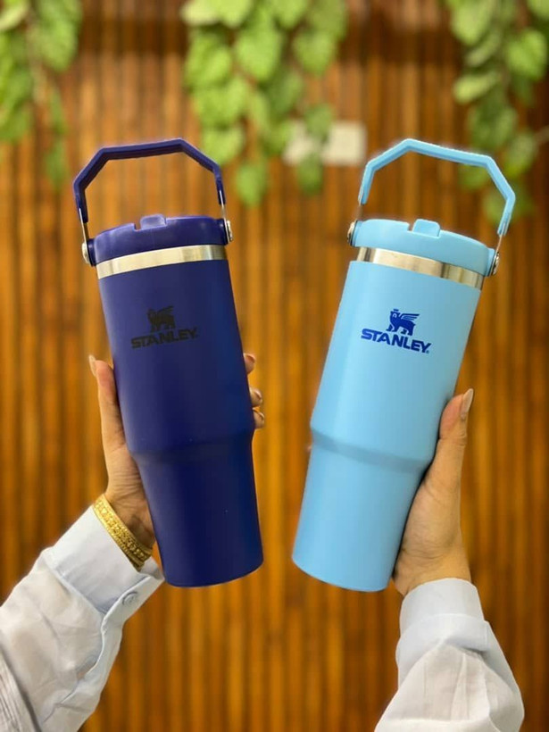 تراول ماگ Stanley
